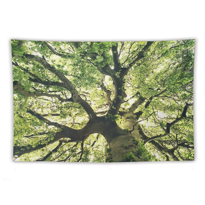 Under Your Skin  Under Your Skin  Summer Breeze In A Wilderness Fairytale Forest With A Tree Covered In Magic Sunlight Tapestry