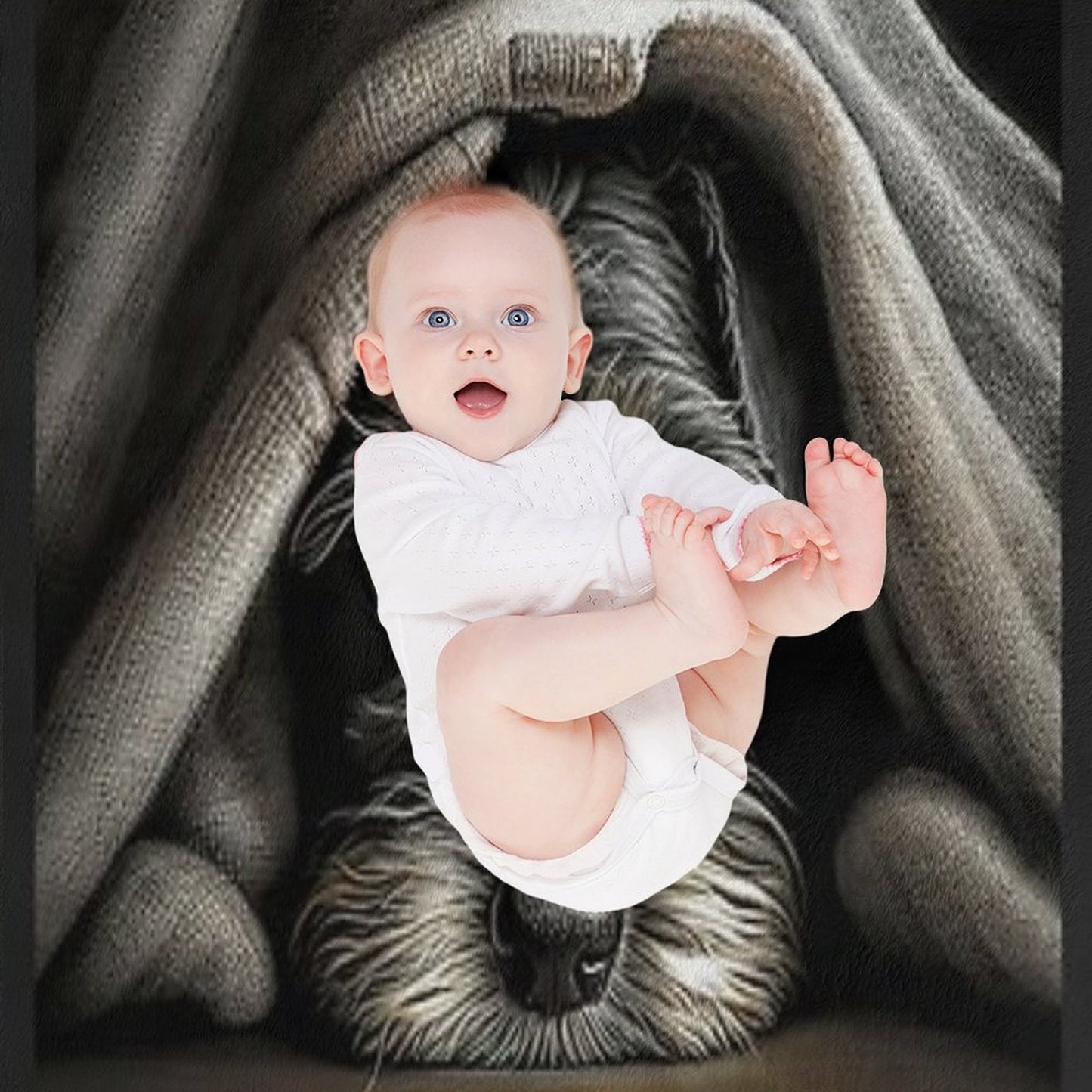 Cute Mini Schnauzer Throw Blanket