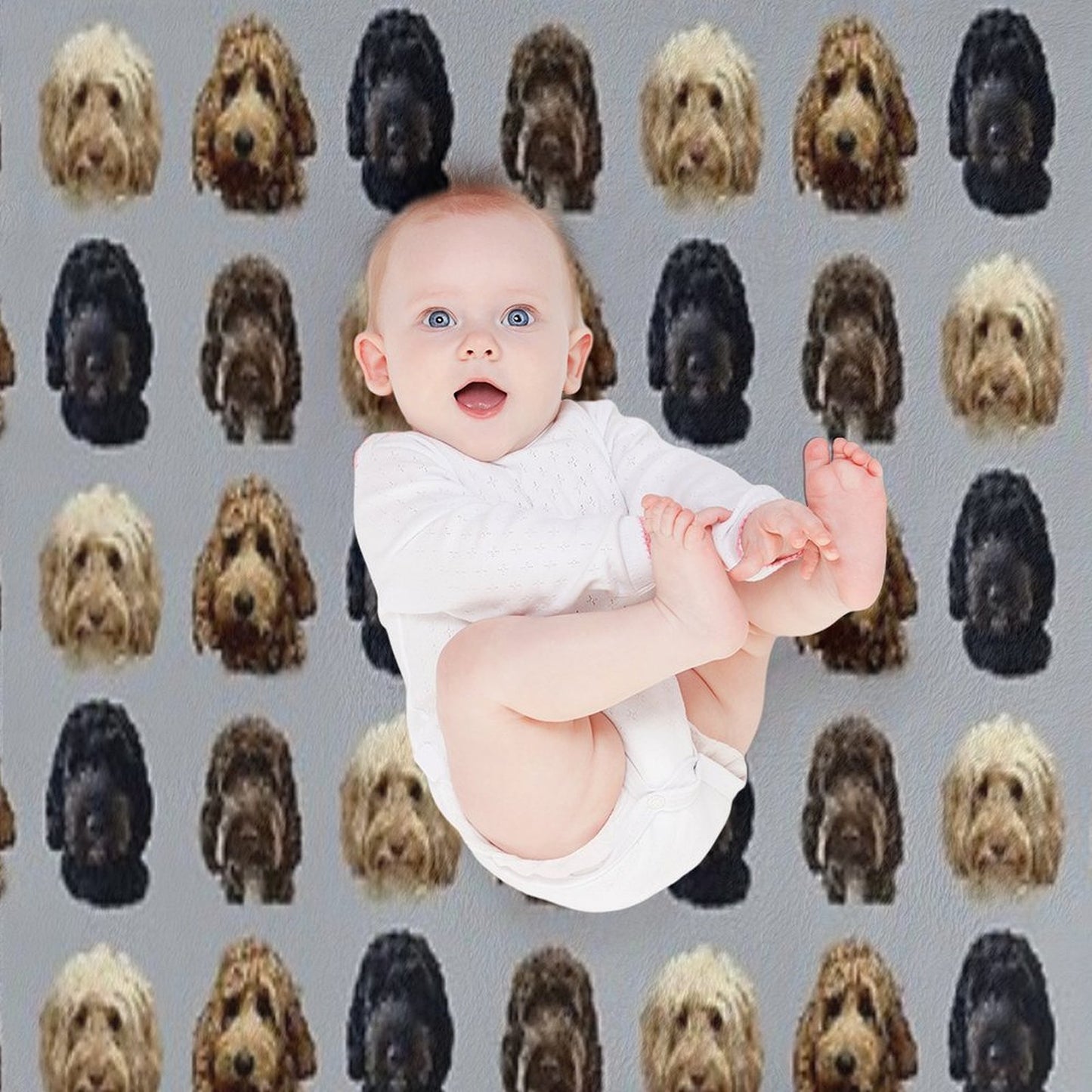 Cockapoo Dog Collection Throw Blanket