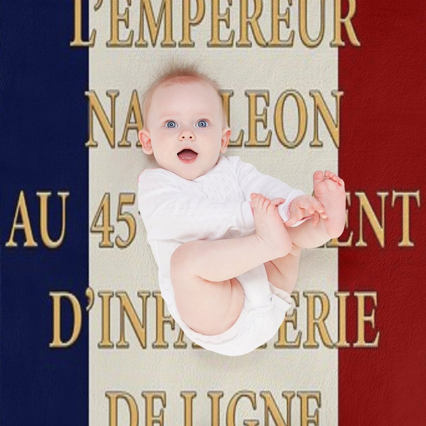 Napoleonic French 45me Regimental Flag Throw Blanket
