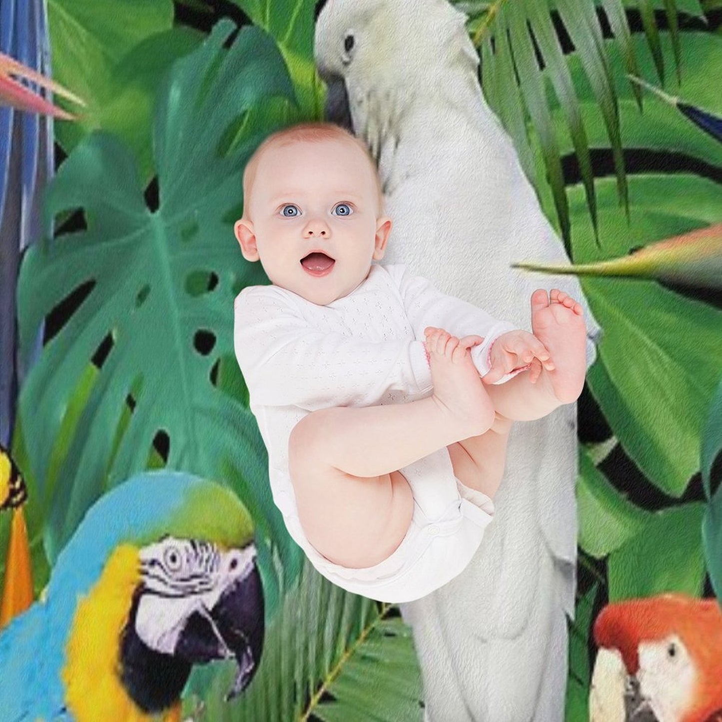 Parrots Bird Jungle Palm Monstera Leaves Throw Blanket