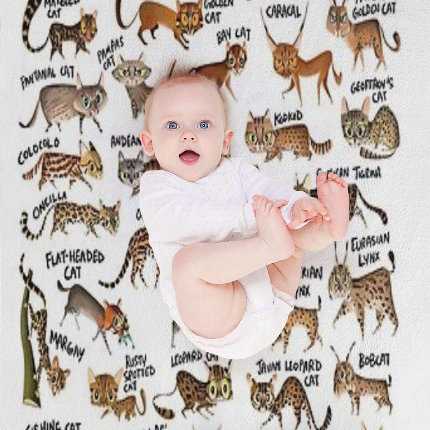 Wild Cats of The World Throw Blanket