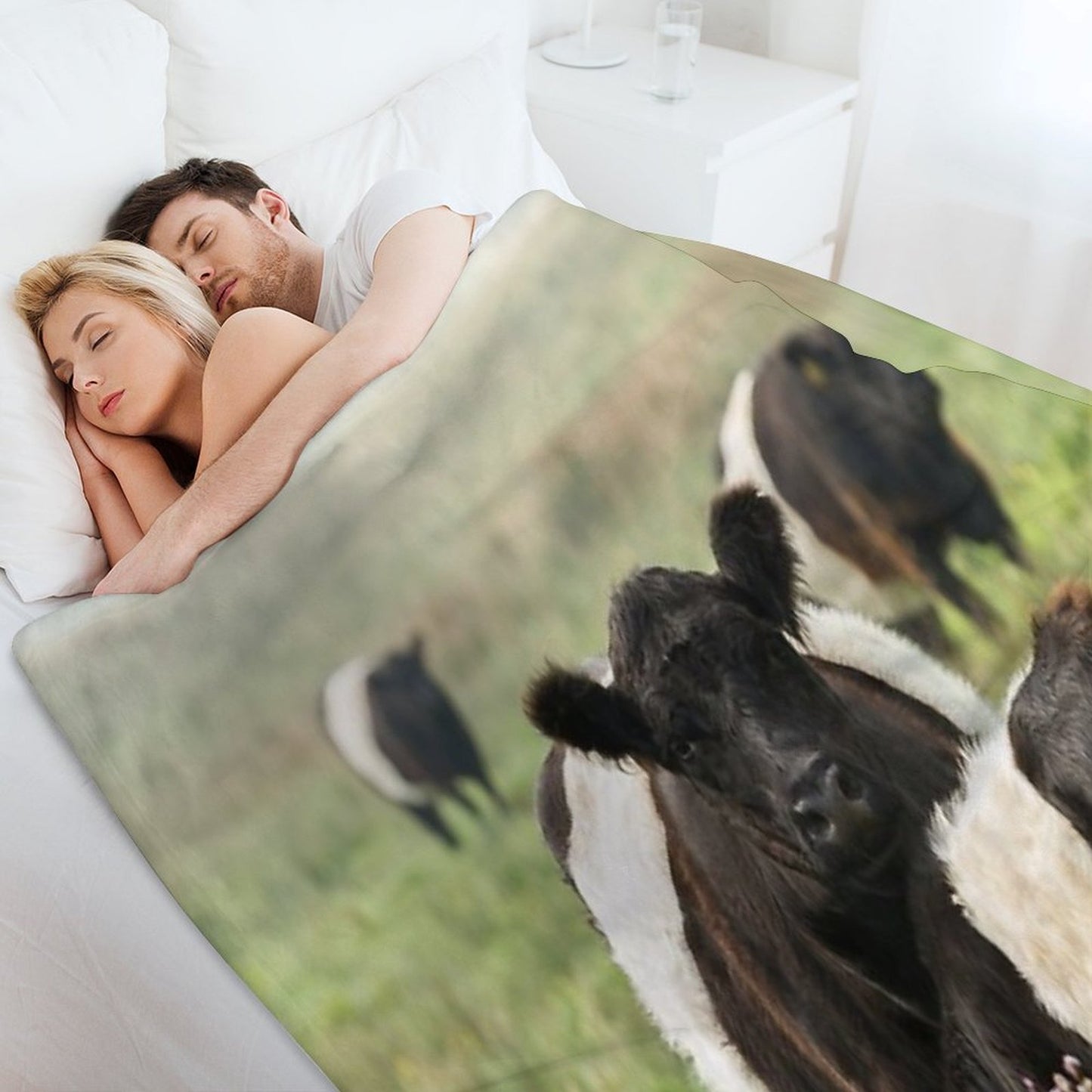 Belted Galloway Cows Throw Blanket