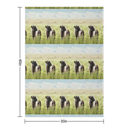 Belted Galloway Cow And Calf Throw Blanket