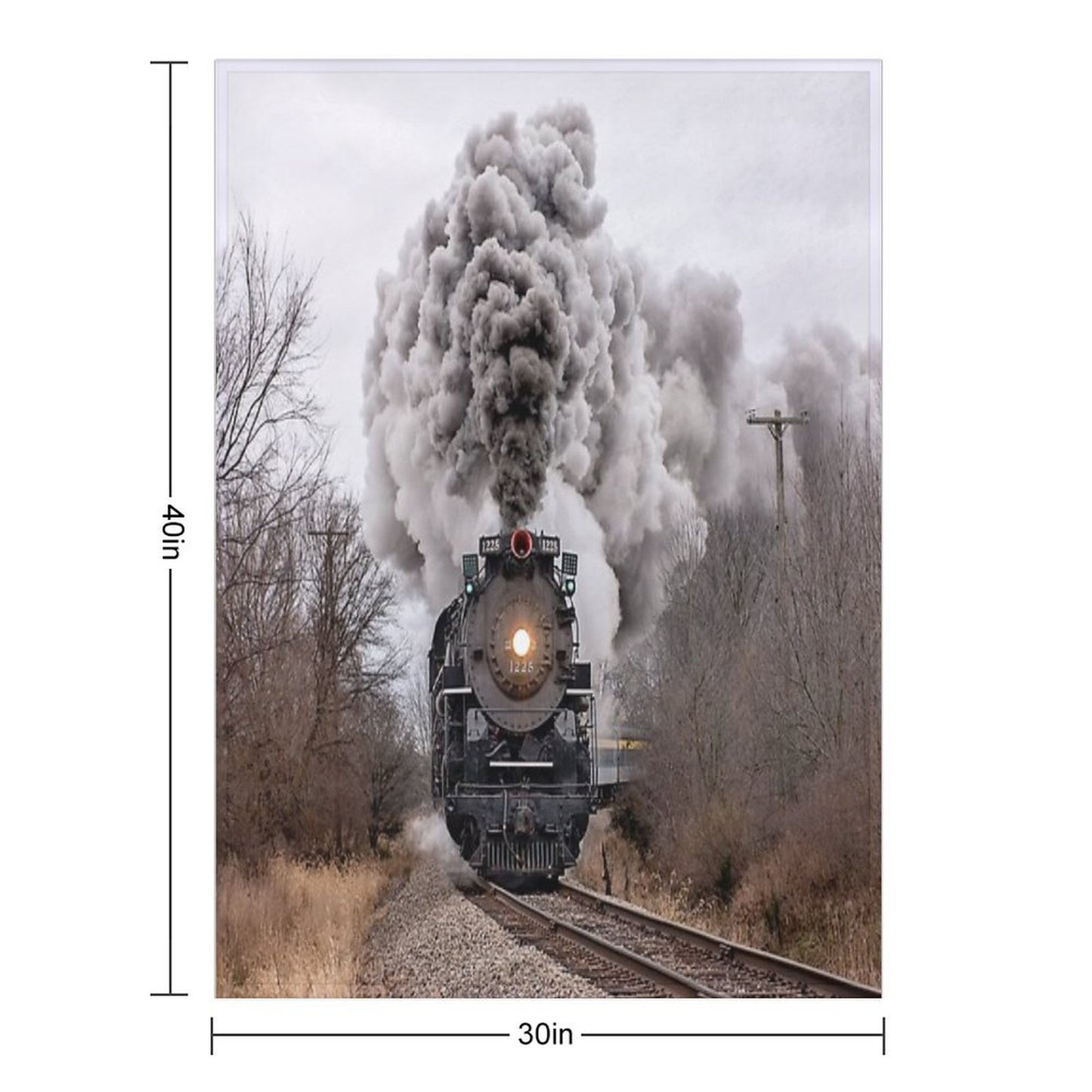 Pere Marquette 1225 Locomotive Throw Blanket