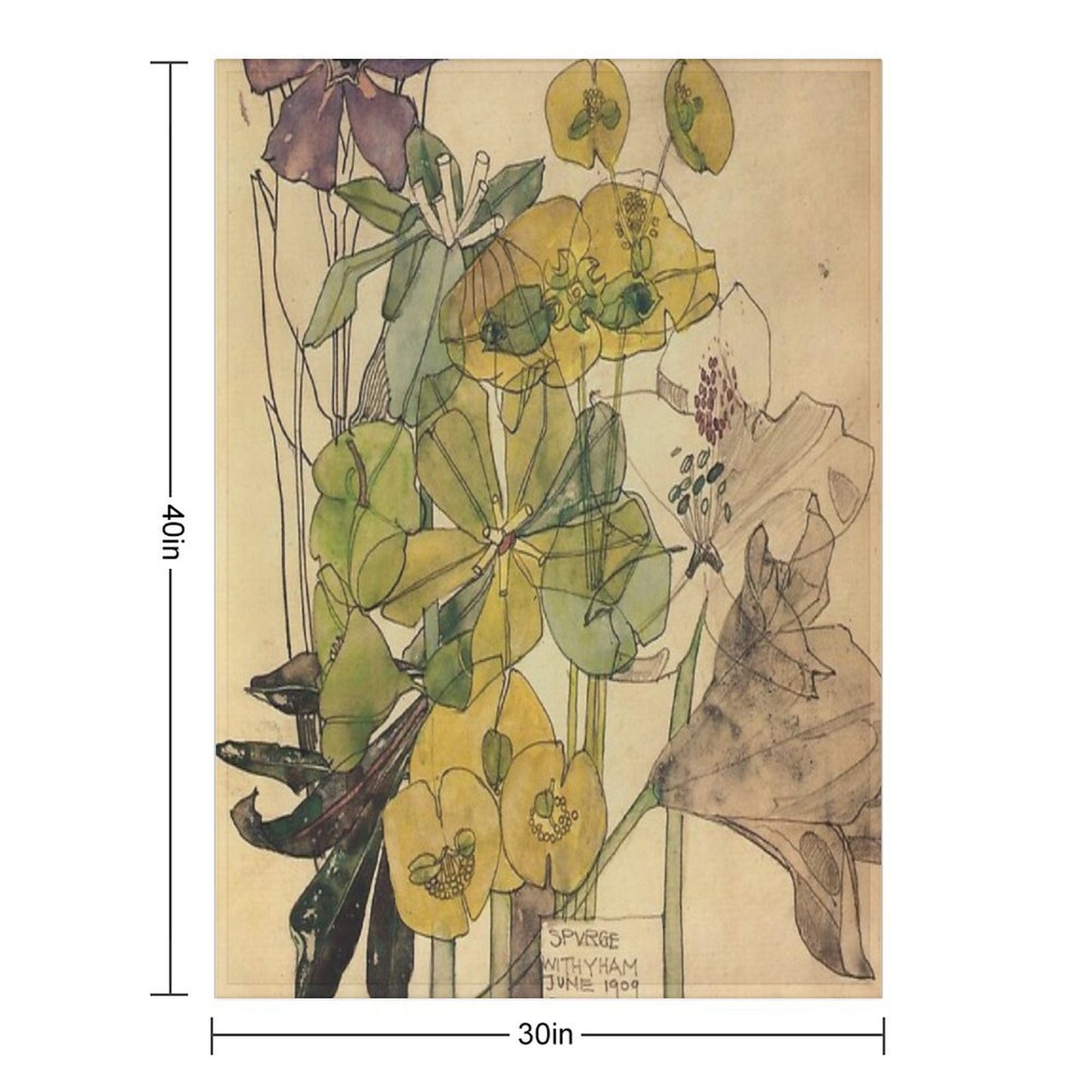 Spurge With Yham-Charles Rennie Mackintosh Throw Blanket