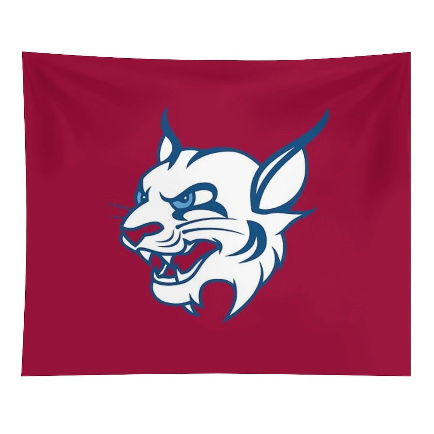 St. Thomas University Tapestry