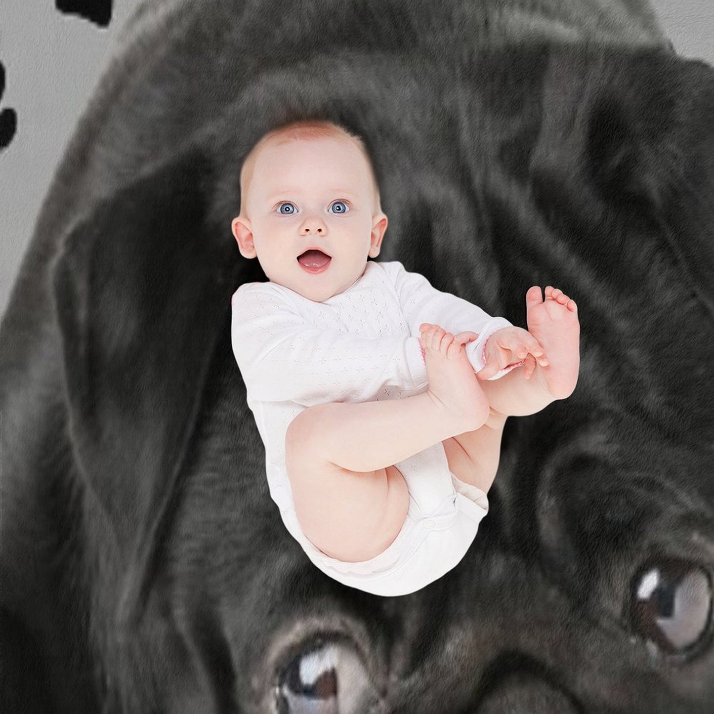 Adorable Black Pug Throw Blanket
