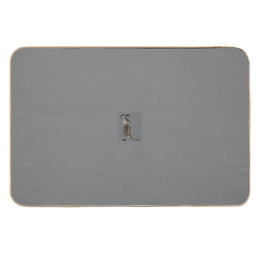 Why..  Multi-Purpose Bath Mat