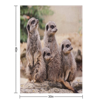 Meerkat Family Throw Blanket