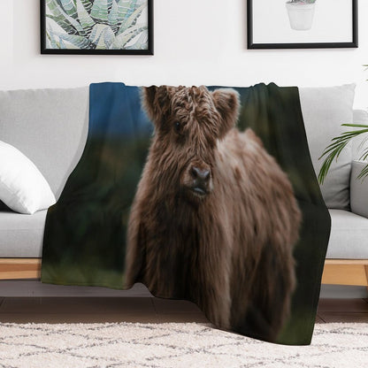 Baby Highland Cow Throw Blanket