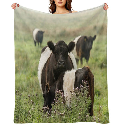 Belted Galloway Cows Throw Blanket