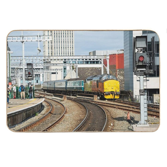 Cardiff Growler Bath Mat