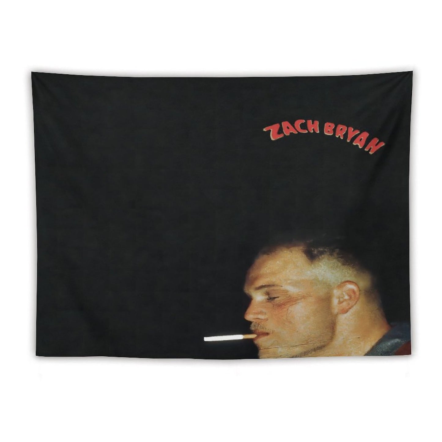 Zach Singer Bryan - Zach Album Bryan Tapestry