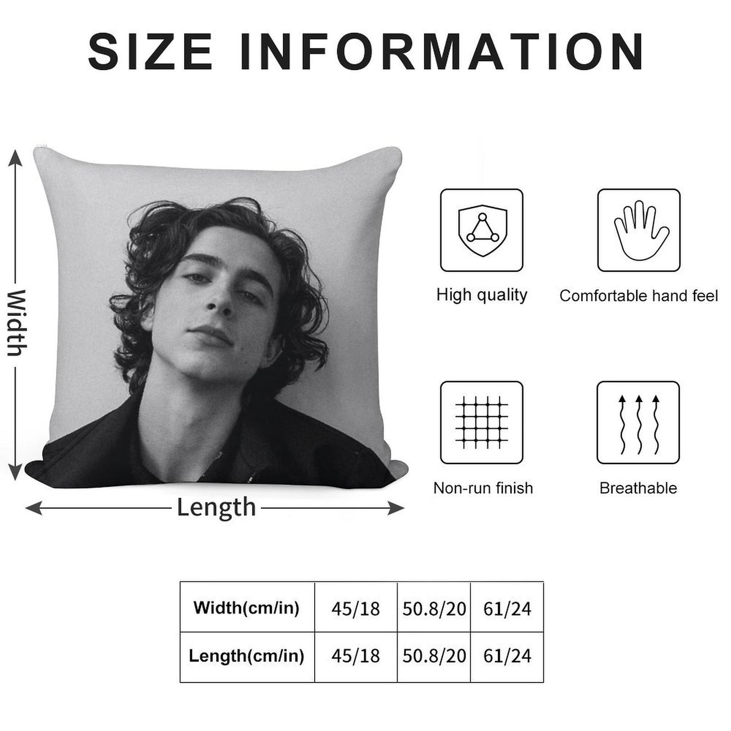 Chalamet Soft High-Density Material Throw Pillow