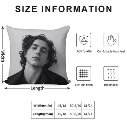 Chalamet Soft High-Density Material Throw Pillow