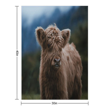 Baby Highland Cow Throw Blanket