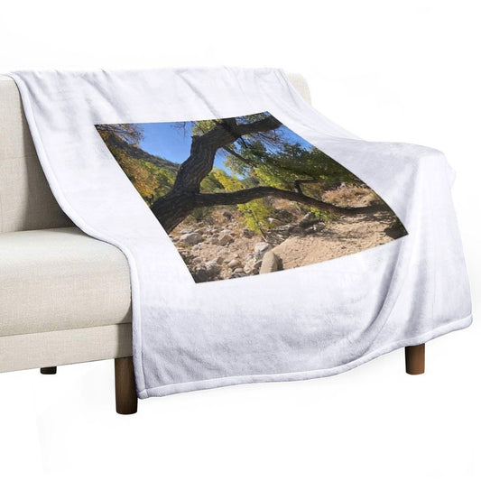 Looking Though A Branch Throw Blanket