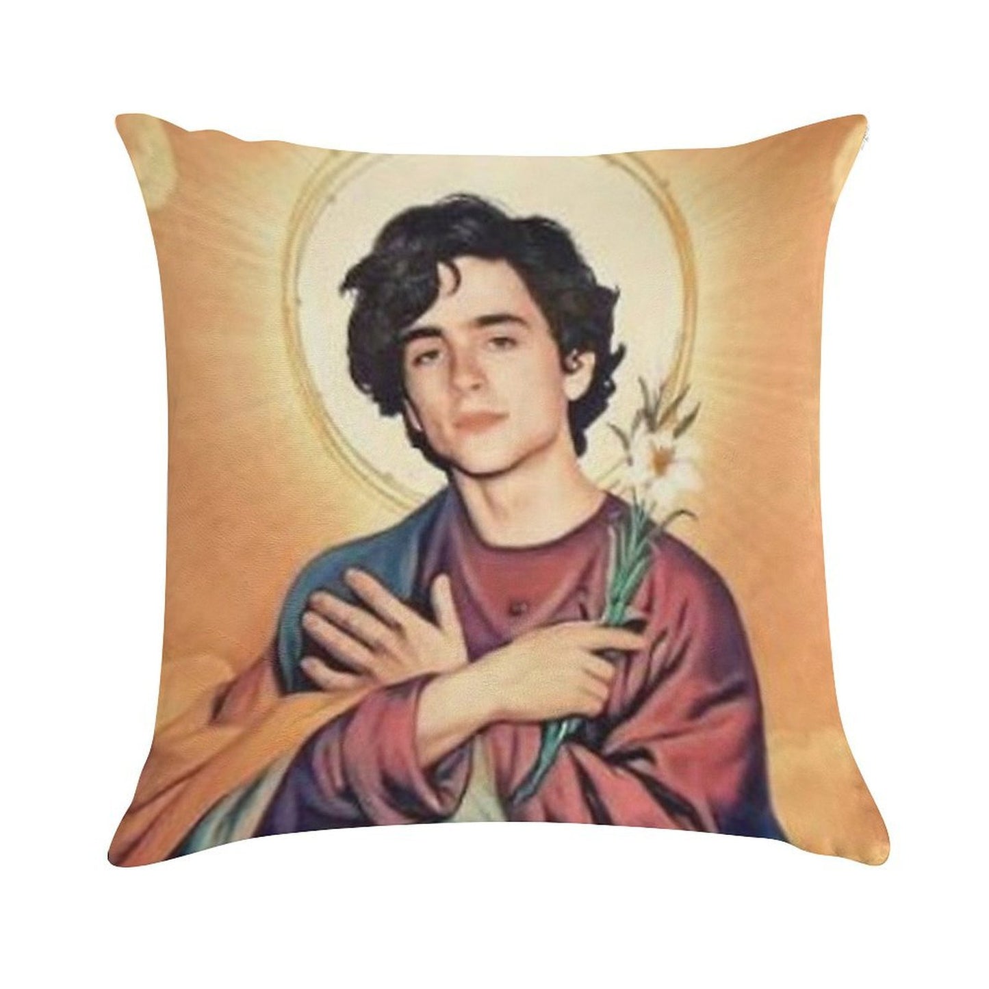 Timothee Chalamet Saint Soft Skin-Friendly Throw Pillow