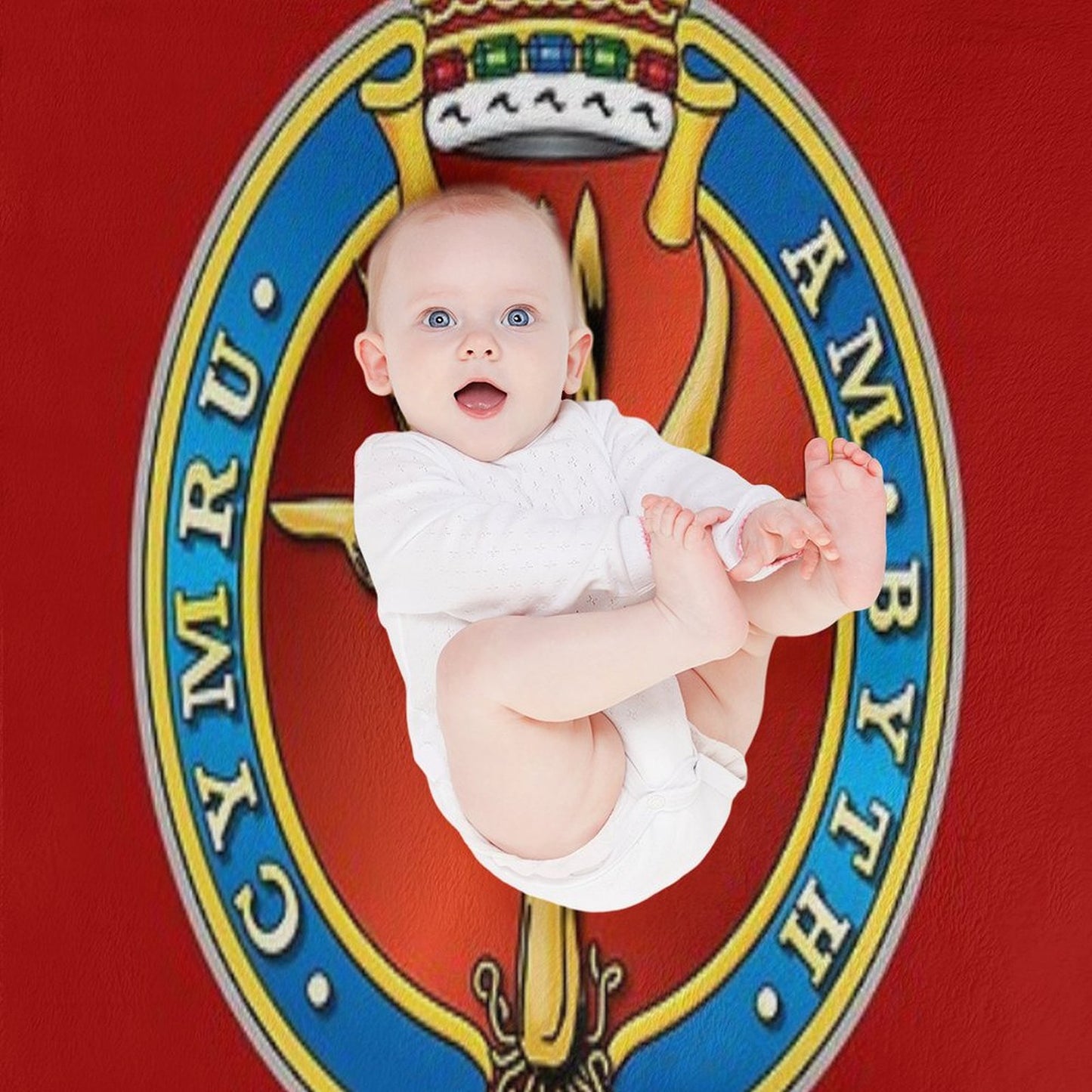 WELSH GUARDS Throw Blanket