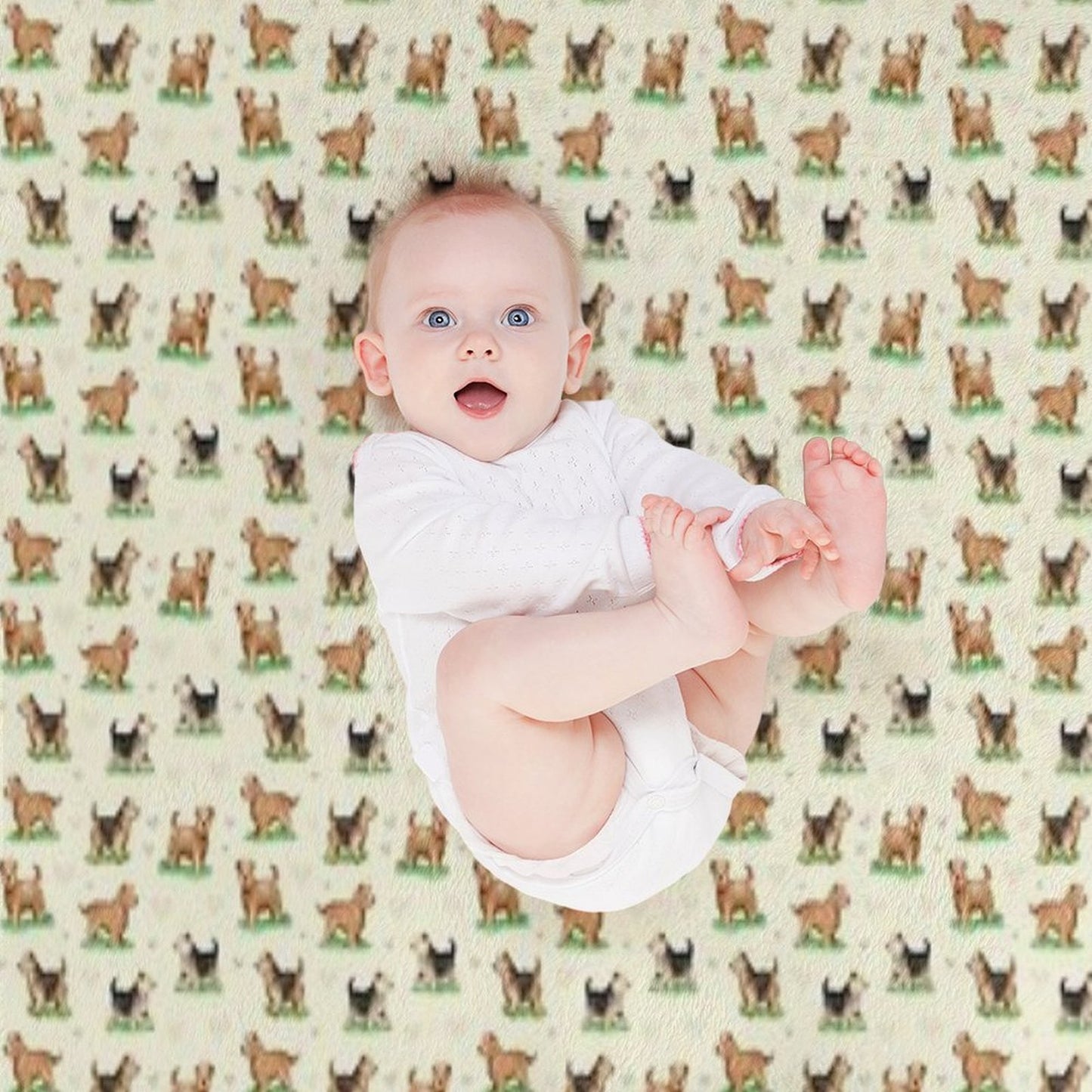 The Norfolk Terrier Throw Blanket