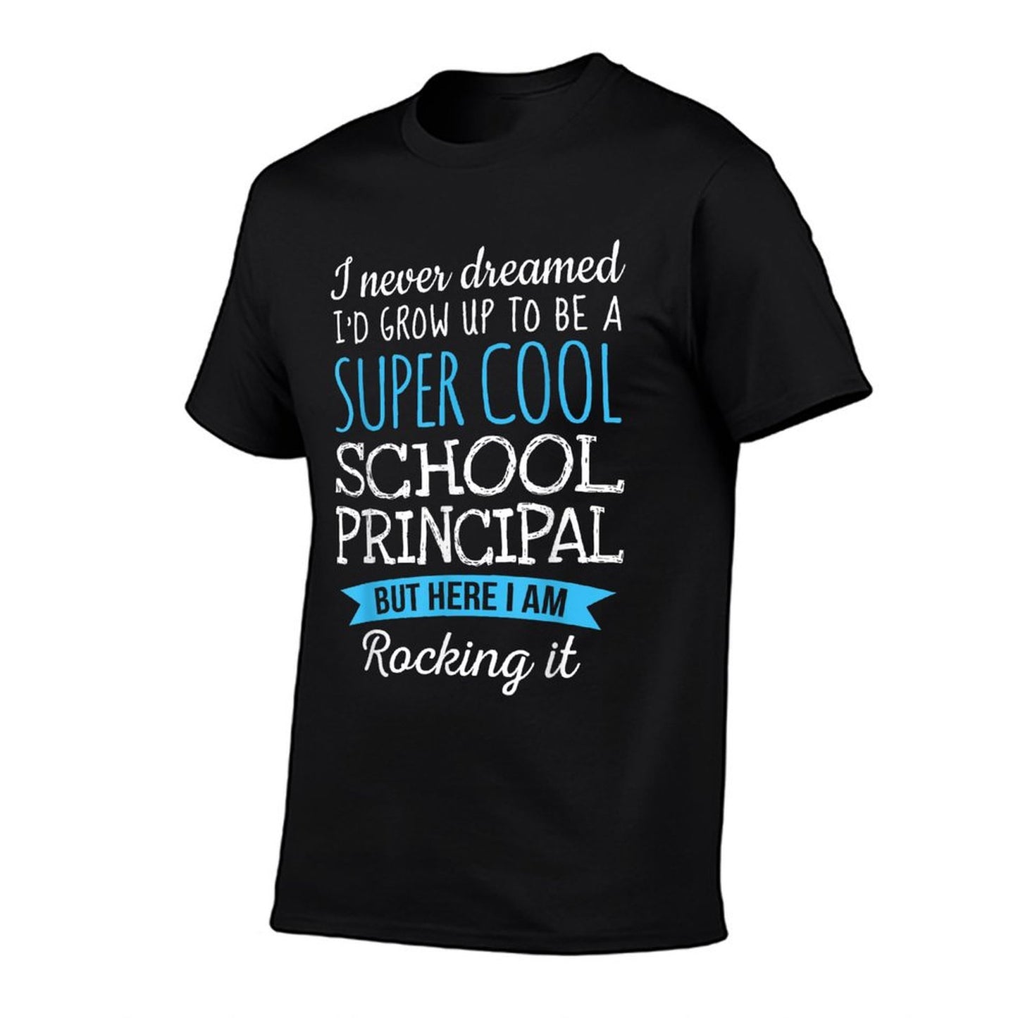 Funny School Principal Tshirt Appreciation Gifts T-Shirt