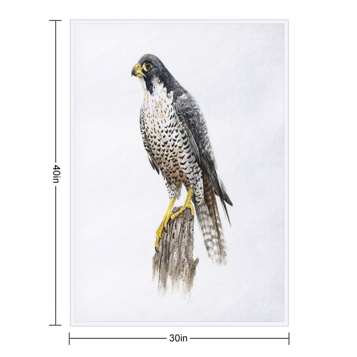 Peregrine Falcon #2 Throw Blanket