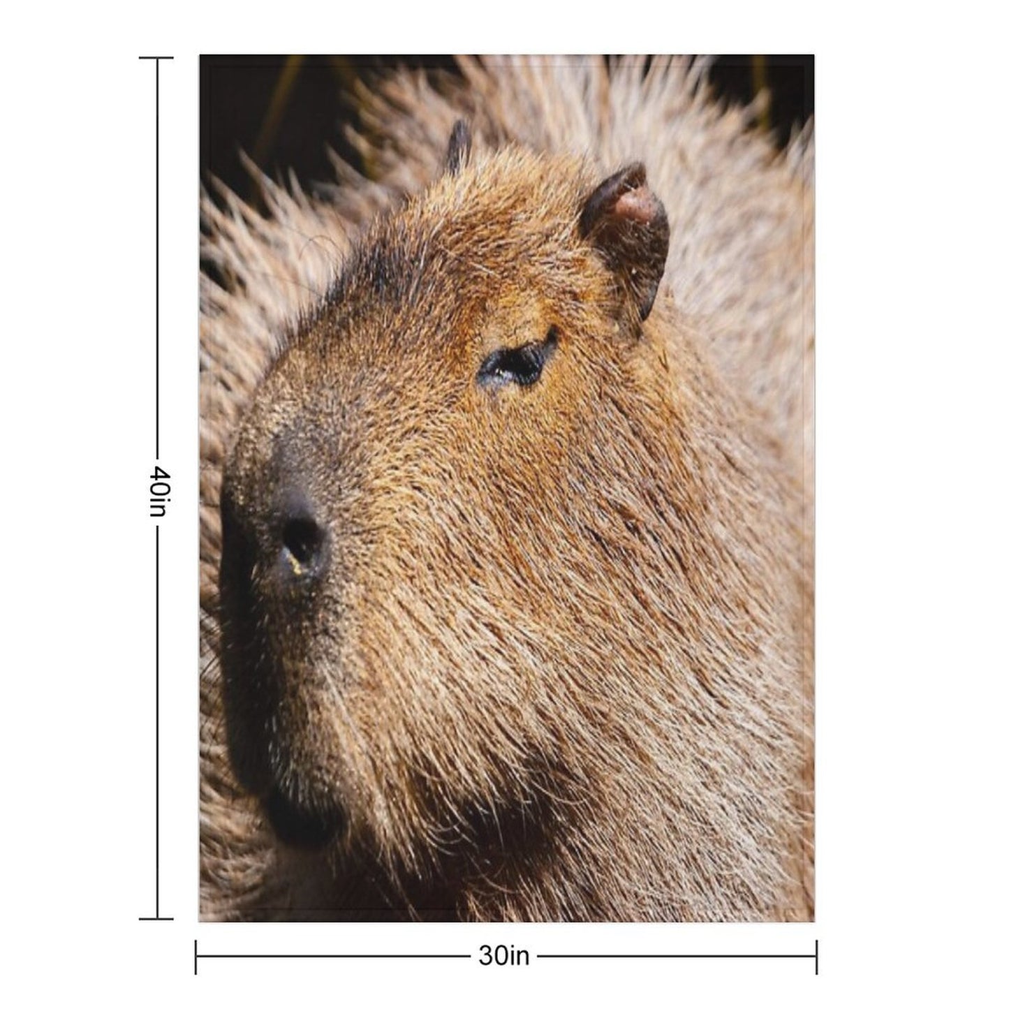 Capybara Profile Throw Blanket