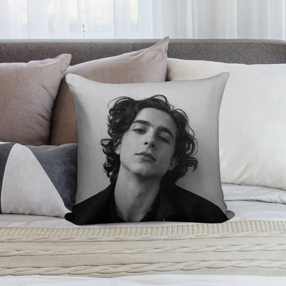 Chalamet Soft High-Density Material Throw Pillow