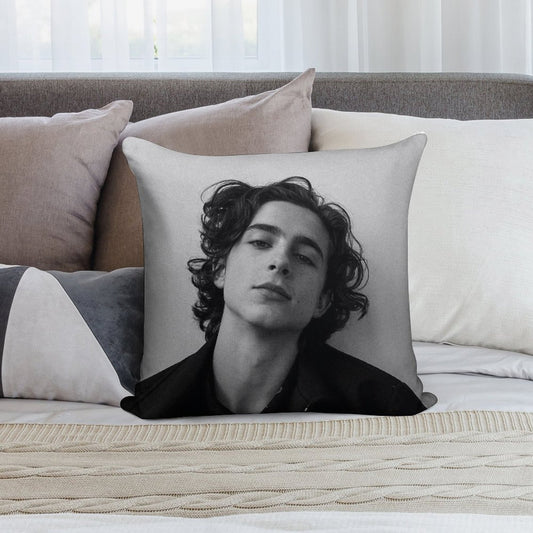 Chalamet Soft High-Density Material Throw Pillow