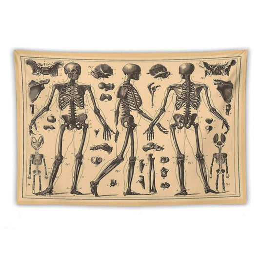 Vintage Human Skeleton Anatomy Diagram Tapestry