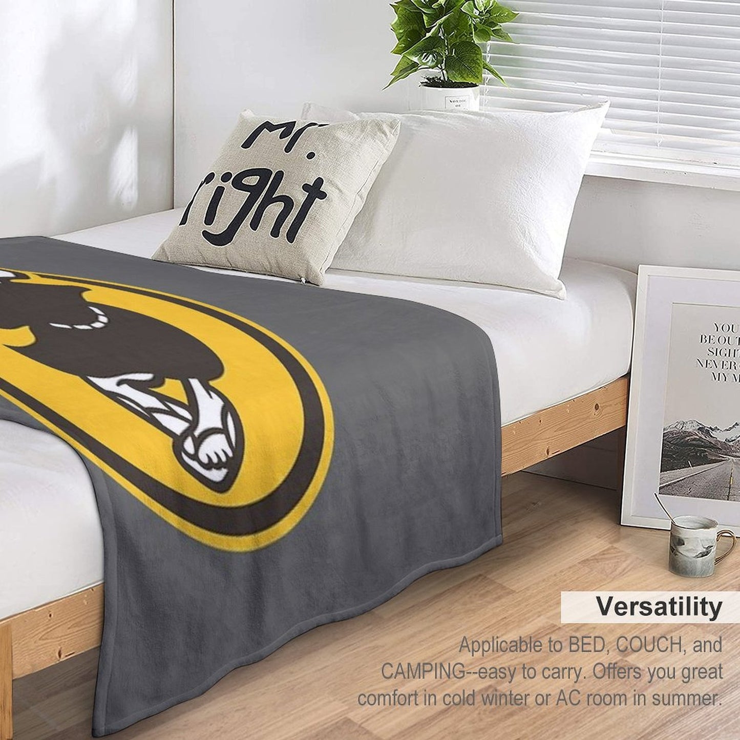 San Deigo Baseball Throw Blanket