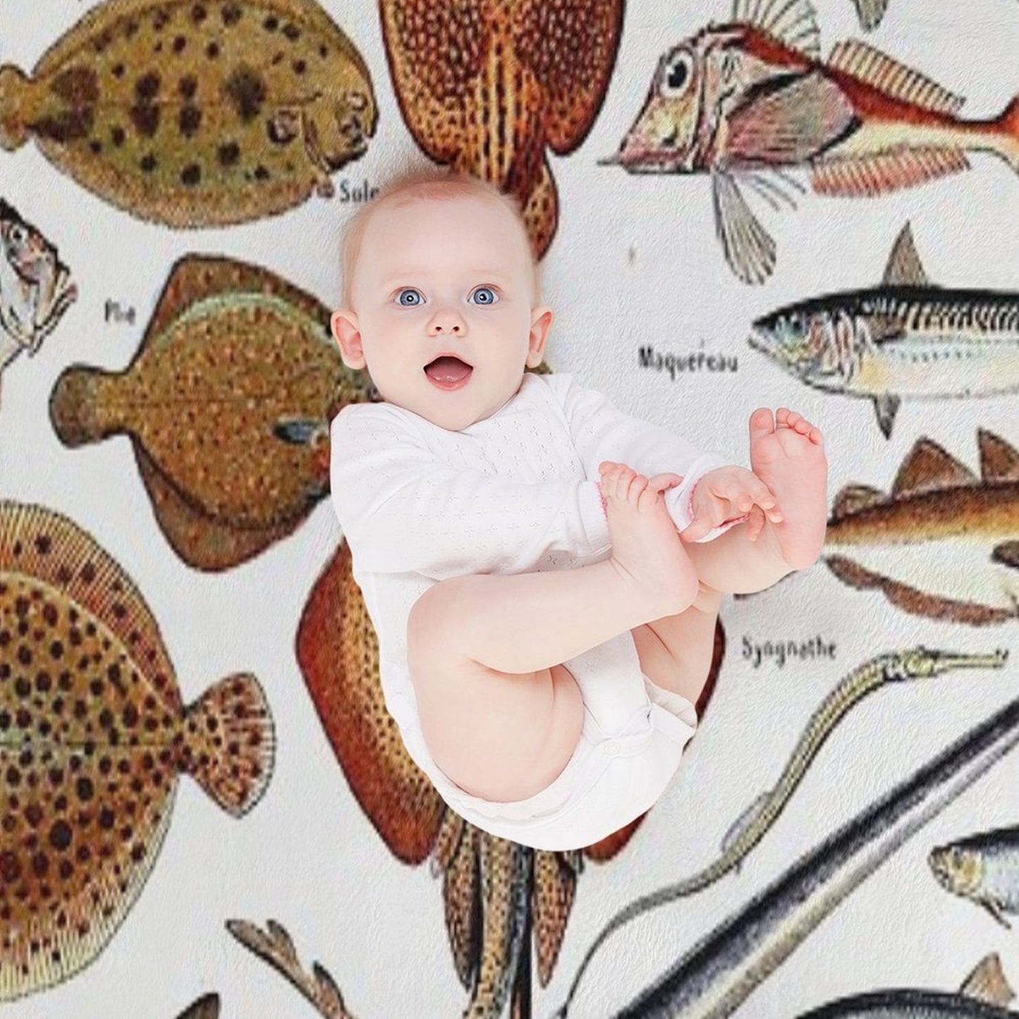 Adolphe Millot - Poissons B - French Vintage Nautical Poster Throw Blanket