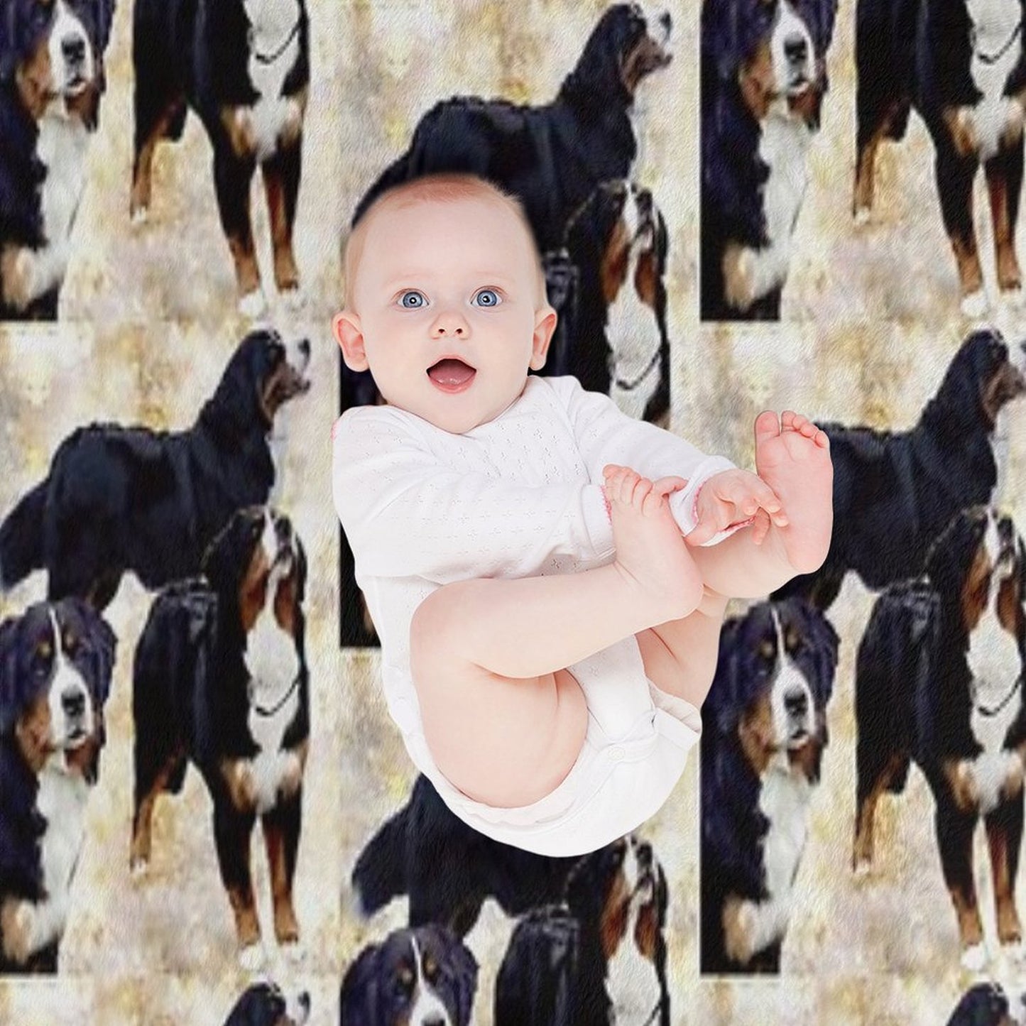 Bernese Mountain Dog Throw Blanket