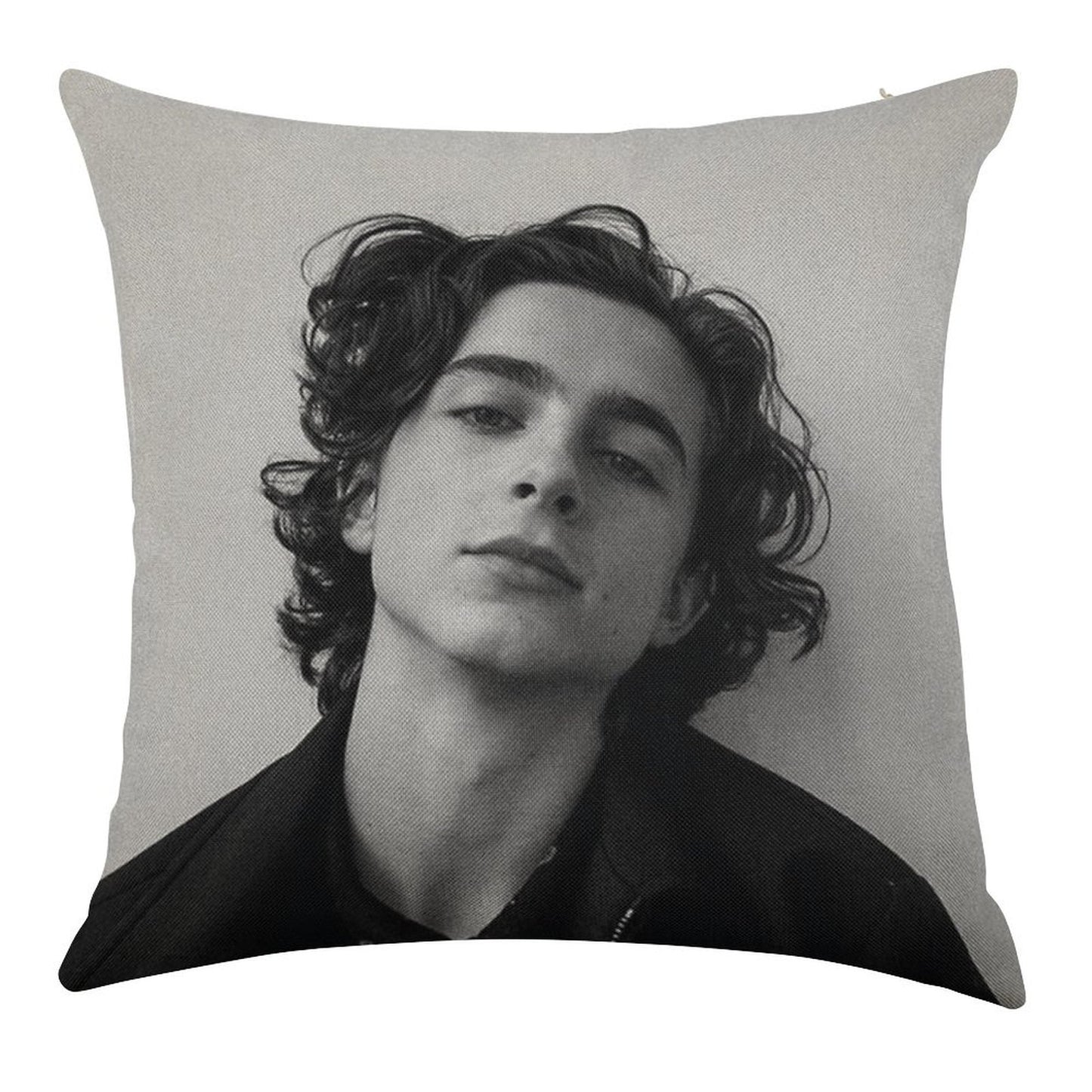 Chalamet Linen Throw Pillow Cover
