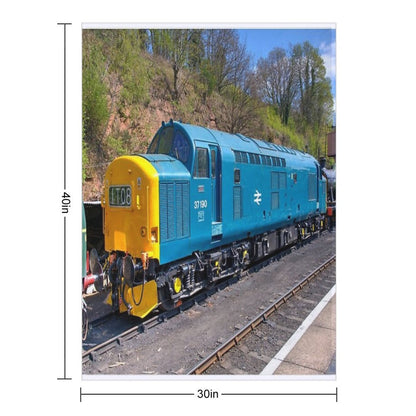 Class 37 at Bewdley Throw Blanket
