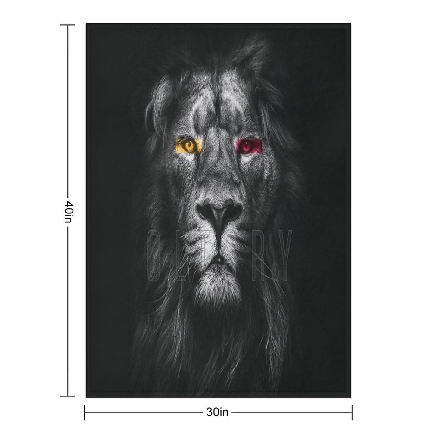 Galatasaray Aslan Throw Blanket