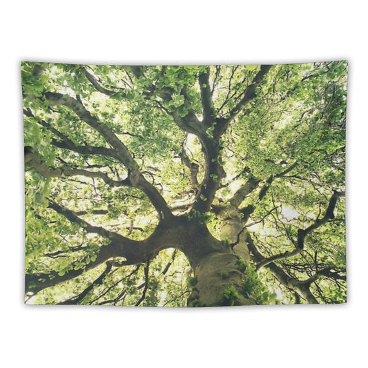 Under Your Skin  Under Your Skin  Summer Breeze In A Wilderness Fairytale Forest With A Tree Covered In Magic Sunlight Tapestry