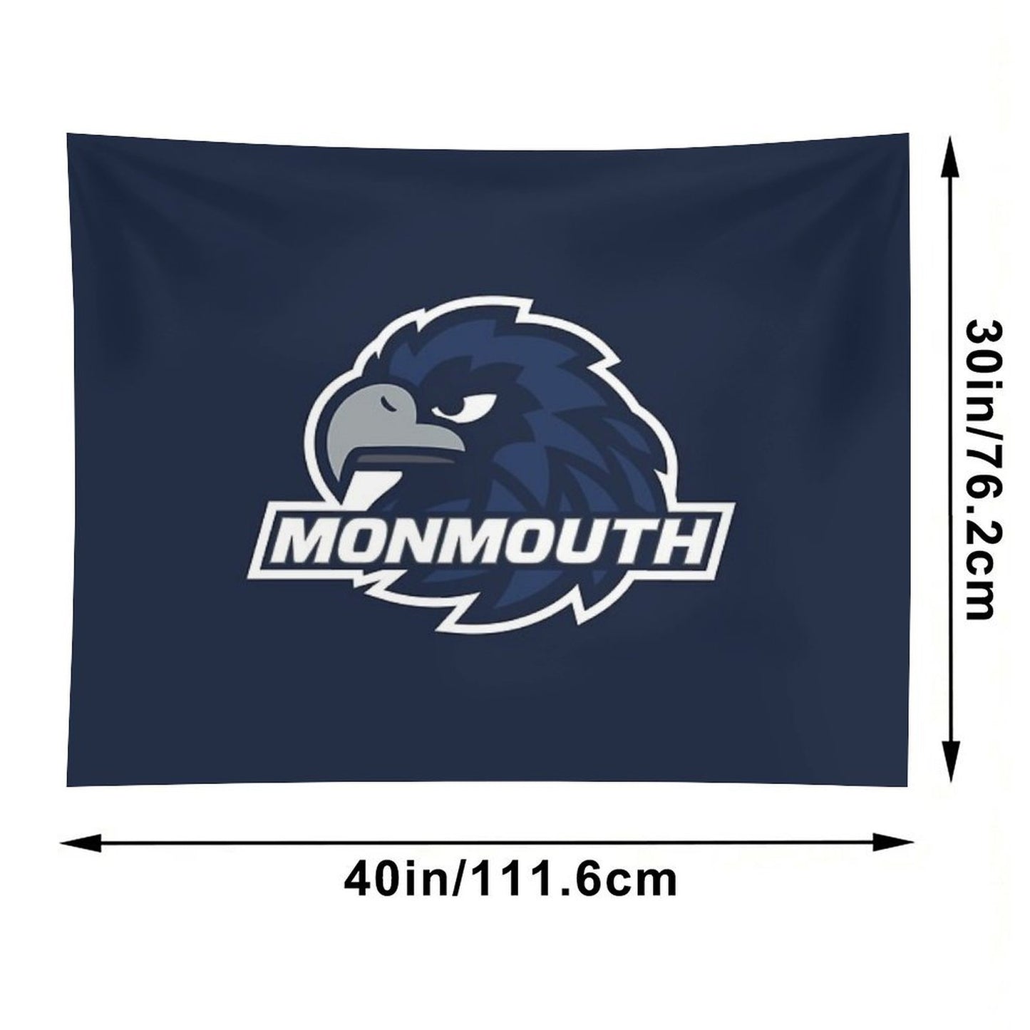 The Monmouth Tapestry