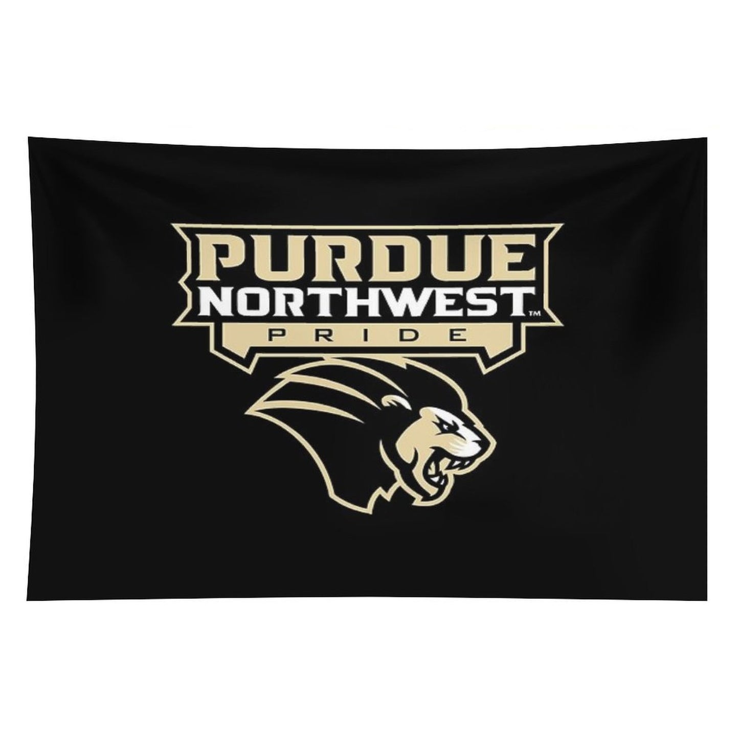 Purdue University Northwest Tapestry