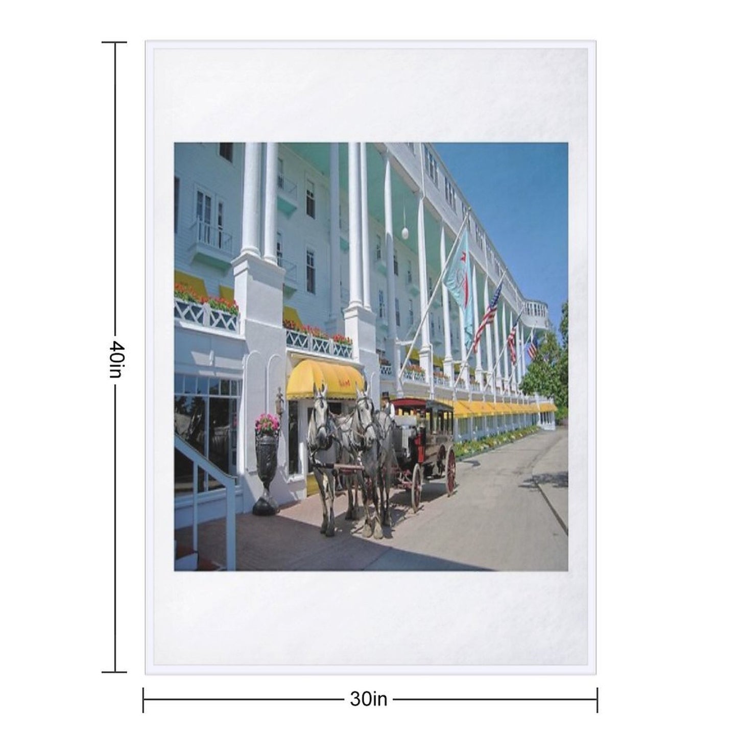 Carriage at The Grand Hotel, Mackinac Island, Michigan Throw Blanket