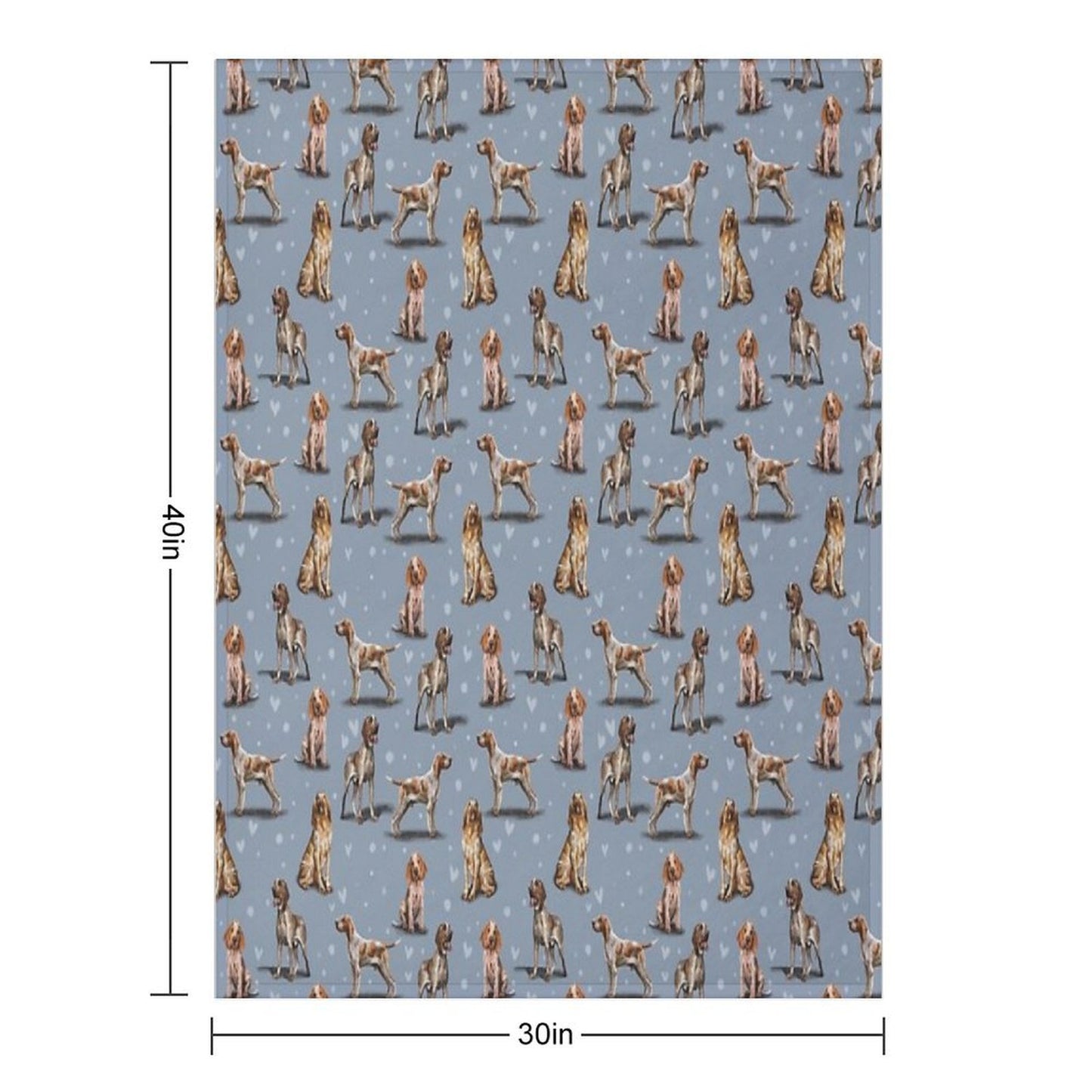 The Bracco Italiano Throw Blanket