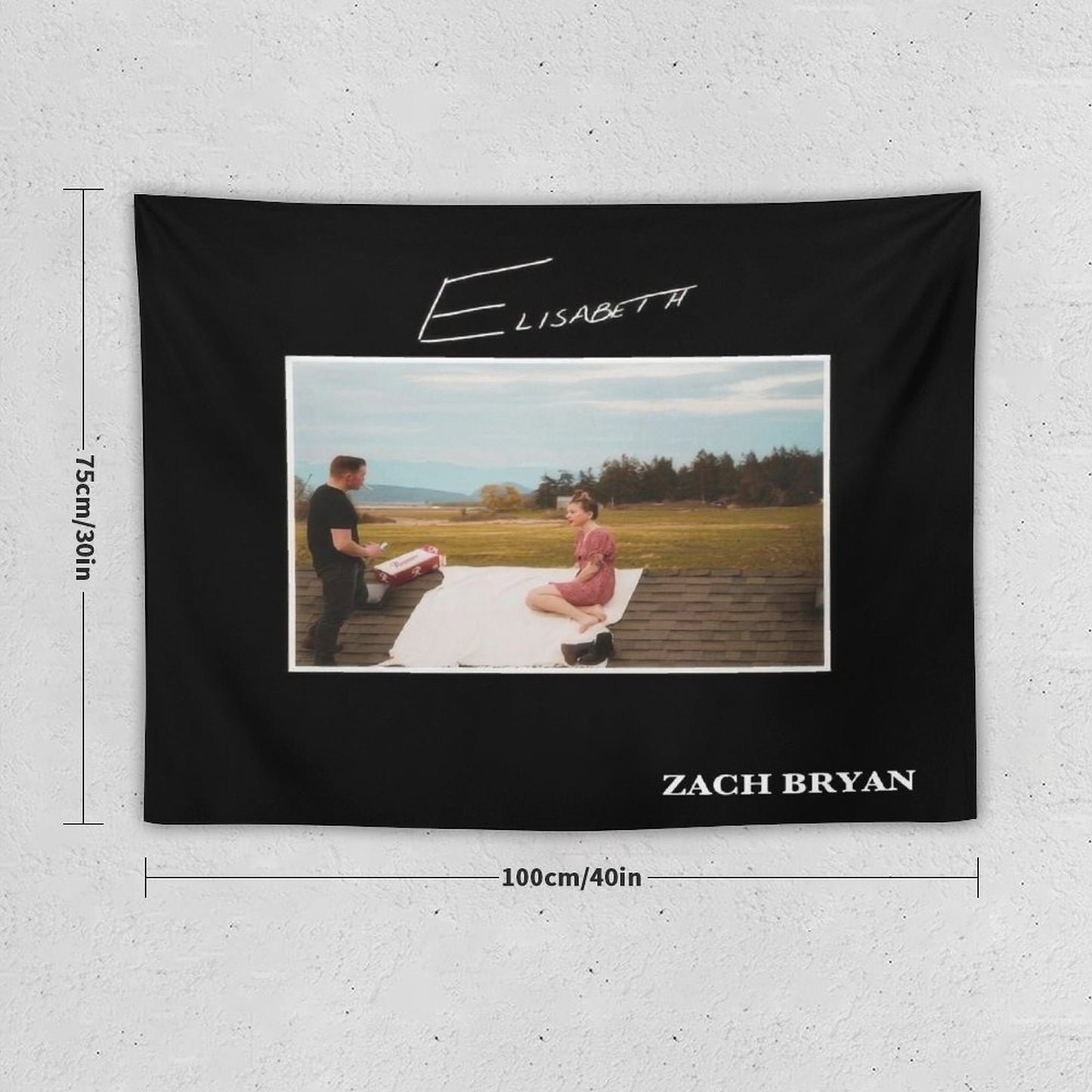 Zach Singer Bryan - Elisabeth Tapestry