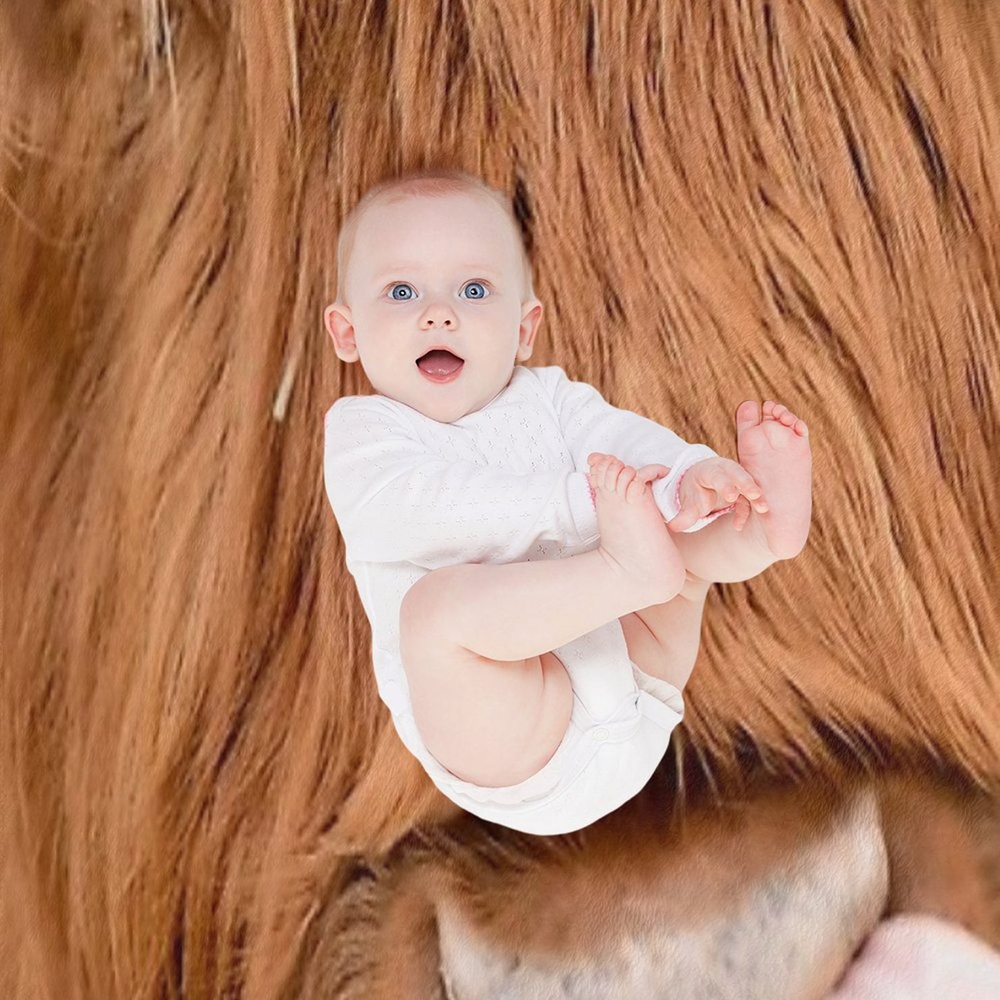 Tasty, The Highland Cow Throw Blanket
