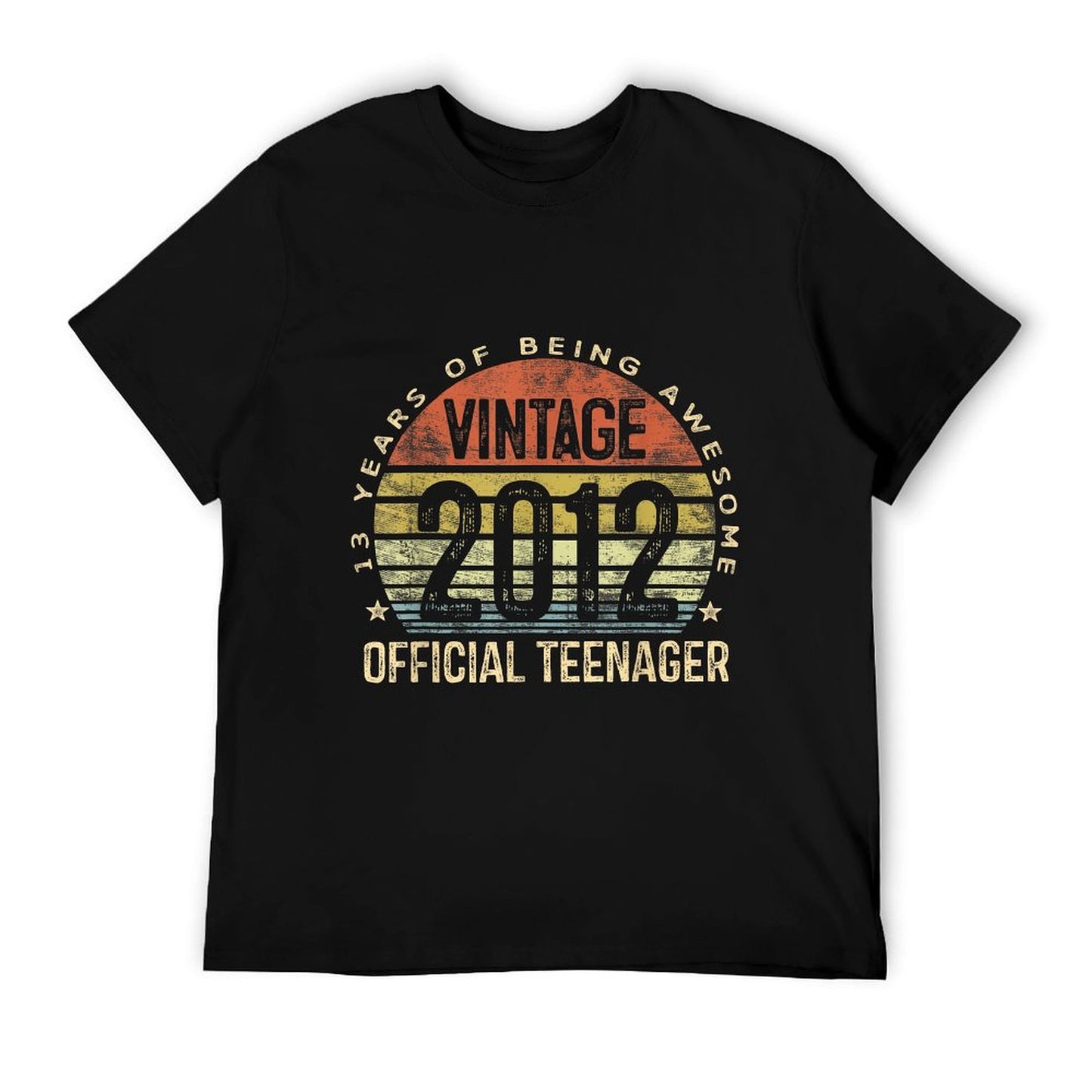 Vintage 2012 Officialnager 13th Birthday Gifts 13 Yr Old T-Shirt