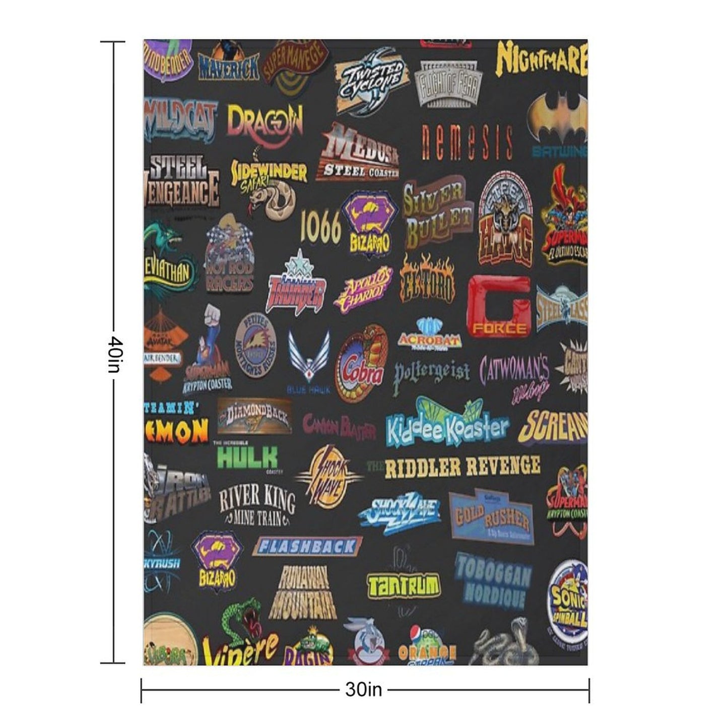 Roller Coasters Throw Blanket