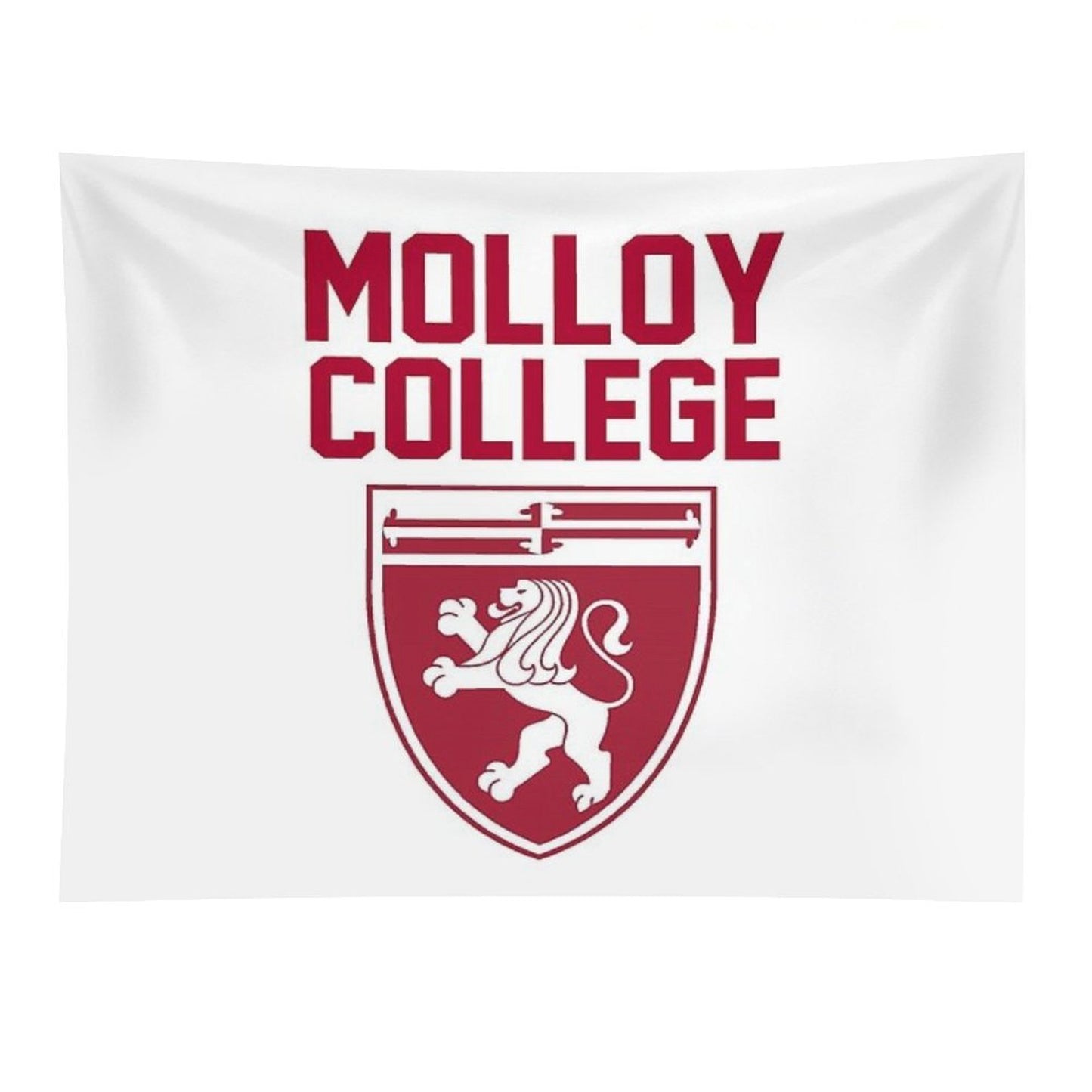 Molloy College Tapestry
