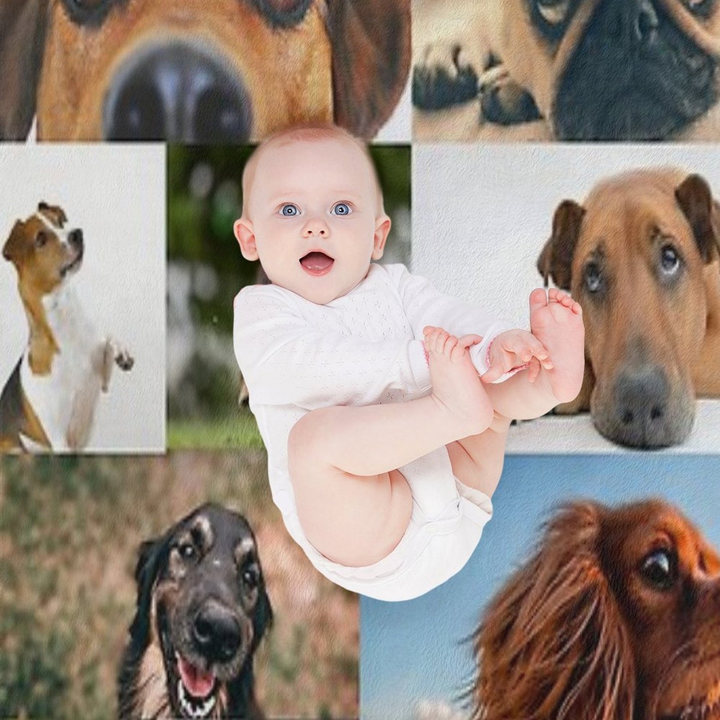 Online Dog Meeting Throw Blanket