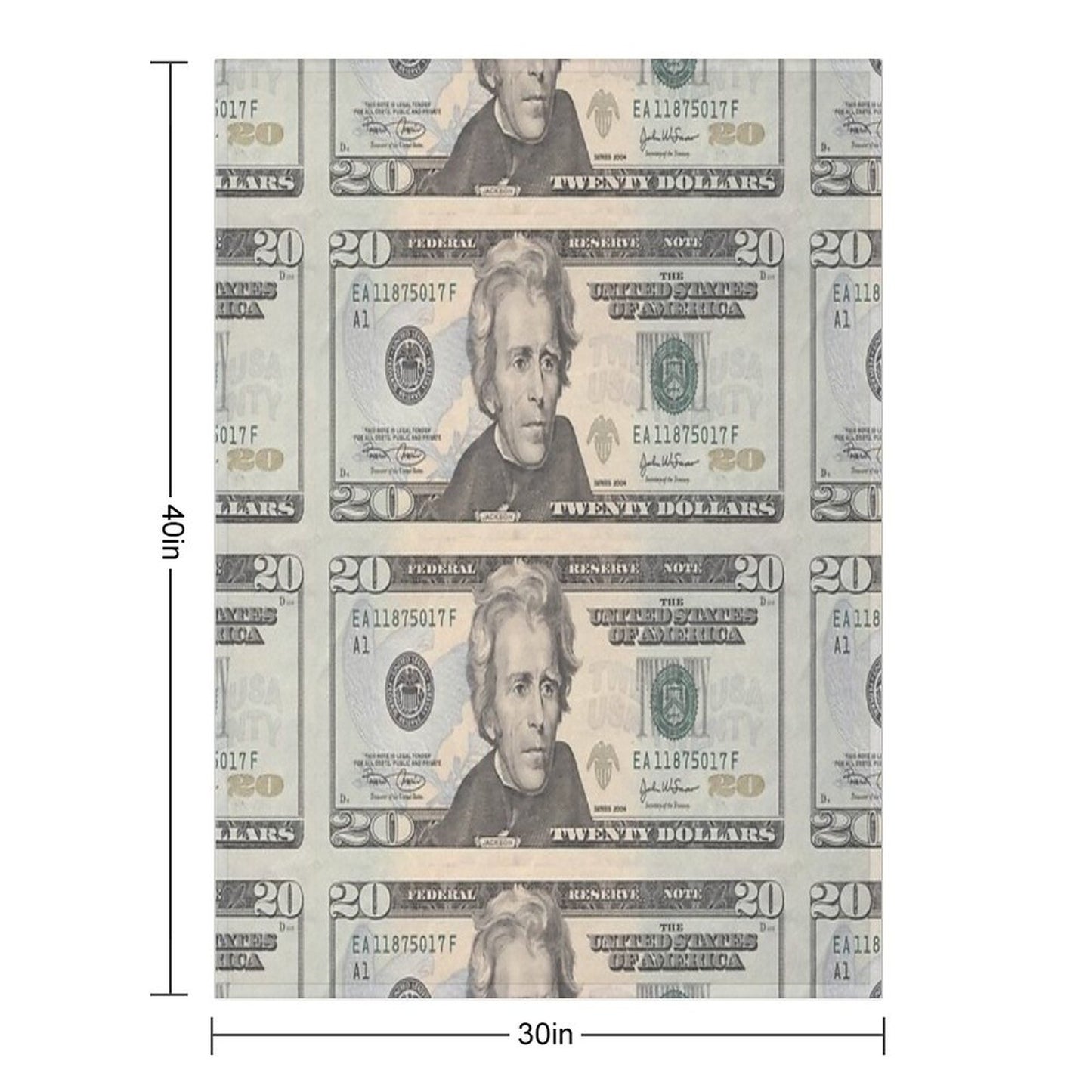 United States Twenty-dollar Bill - Andrew Jackson Throw Blanket