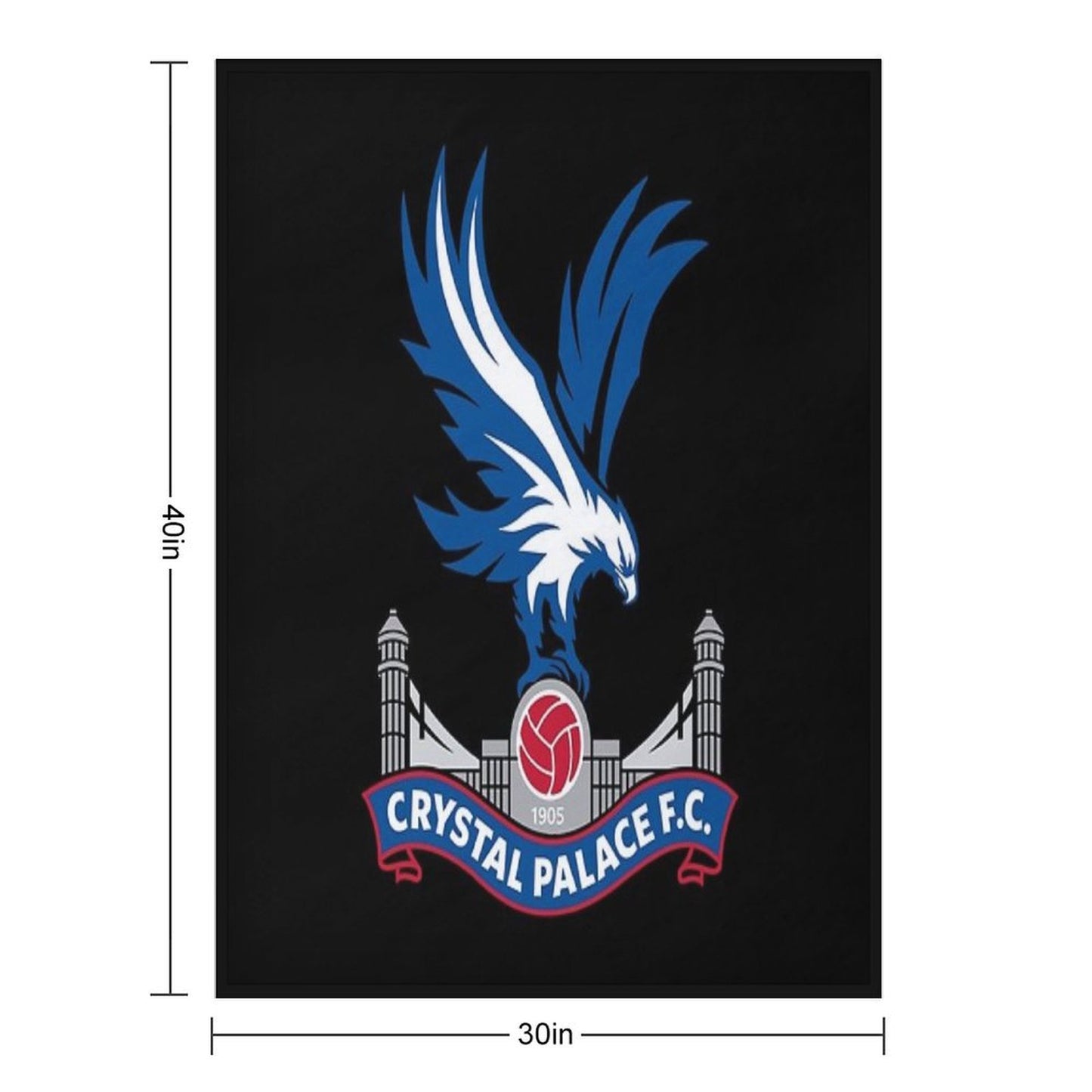 2013 Logo Throw Blanket